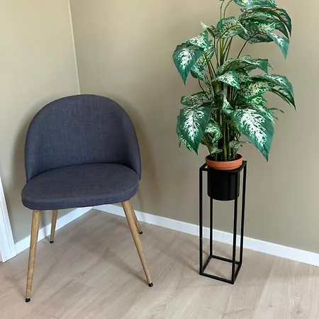 Large And 5 Apartment